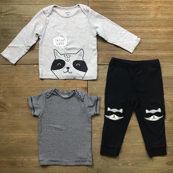 carter's raccoon outfit